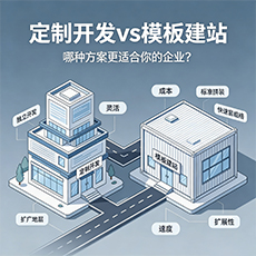 玉树建站-定制开发vs模板建站：哪种方案更适合你的企业？