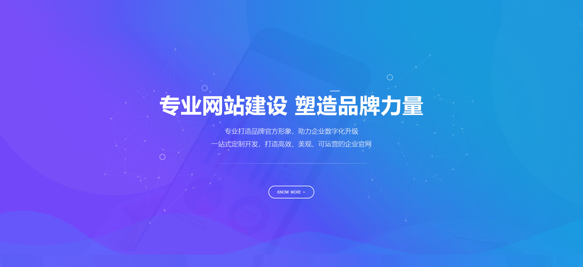 称多建站-专业网站建设 塑造品牌力量