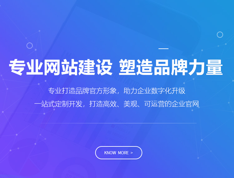 称多建站-专业网站建设 塑造品牌力量